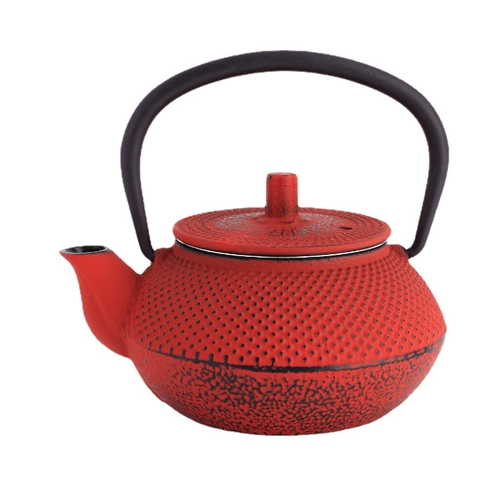 Cast Iron Teapot Set for Home Use
