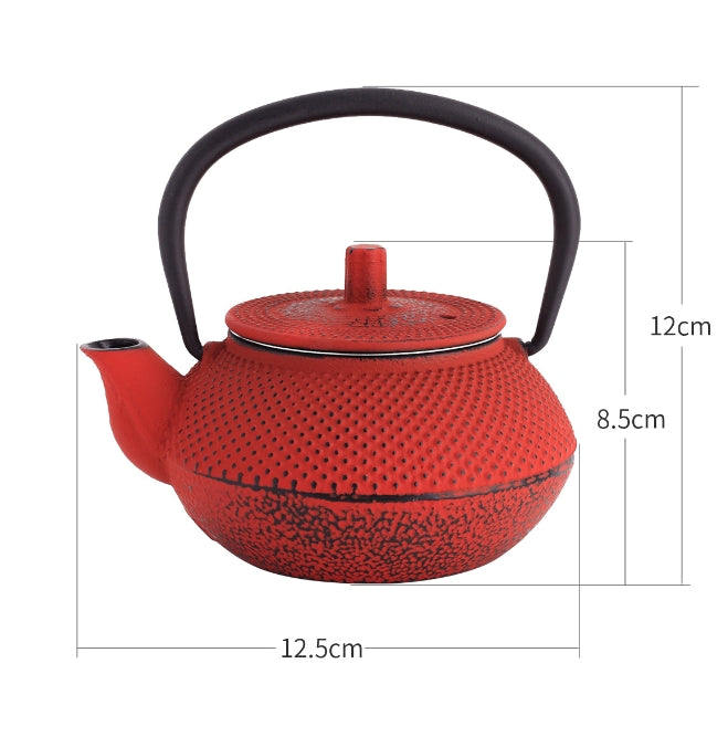 Cast Iron Teapot Set for Home Use