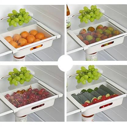 Lattice Egg Storage Organizer for Refrigerator Rack