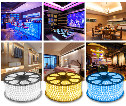 2835 LED Strip Light for Outdoor Home Decoration 220V